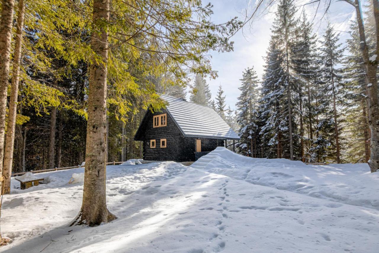 Cosy Lodge Pokljuka Goreljek Buitenkant foto